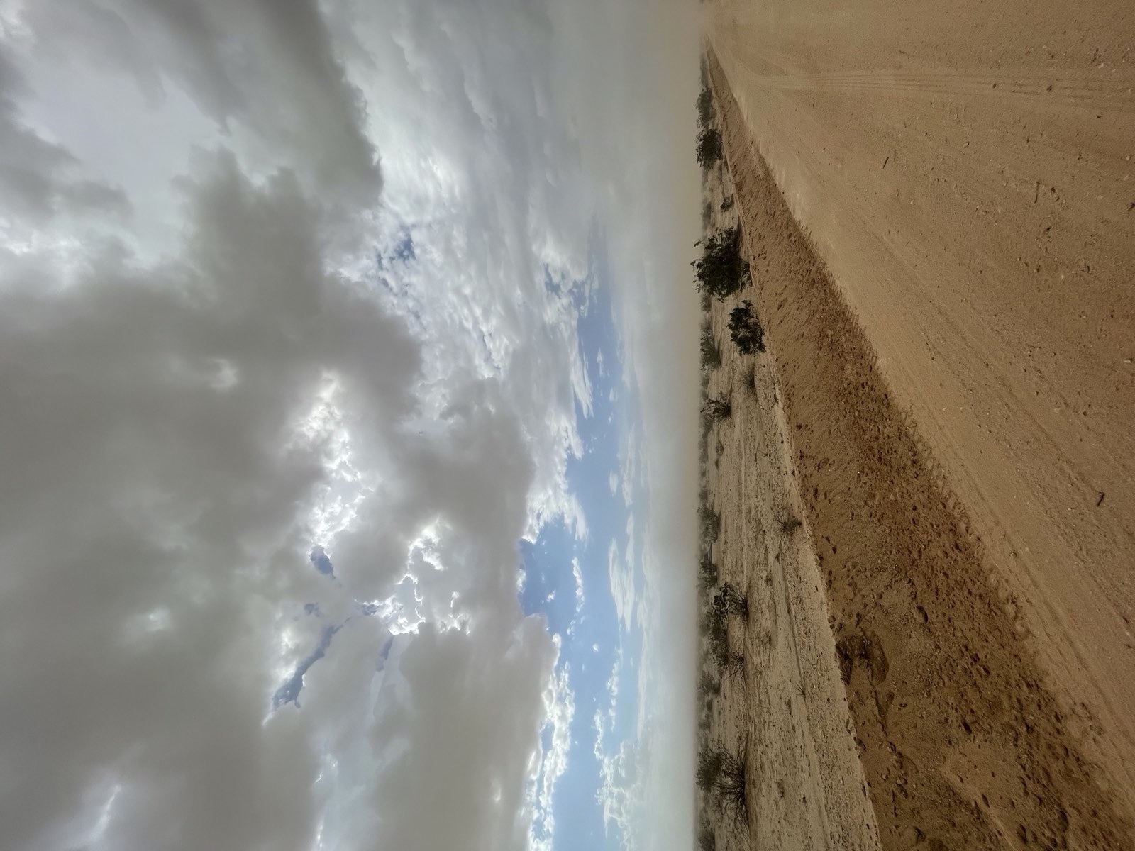 A dirt road running into dust haze under storm clouds, creosote flats on either side